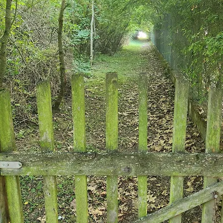 Svatoplukovo Kralovstvi 斯特凡诺瓦