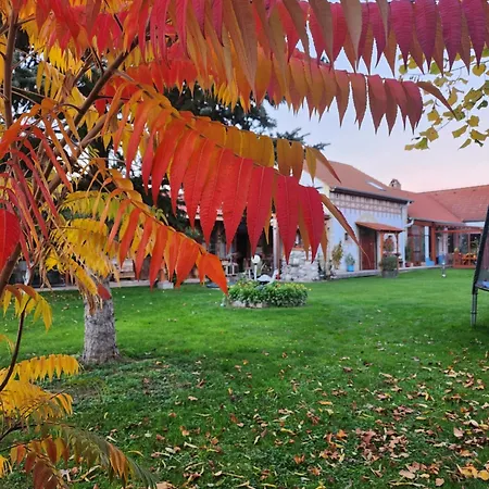 Vila Svatoplukovo Království Štefanová