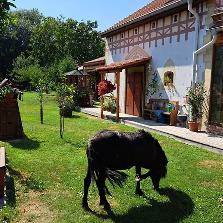 Vila Svatoplukovo Království Štefanová