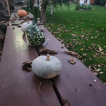 Svatoplukovo Kralovstvi Villa *