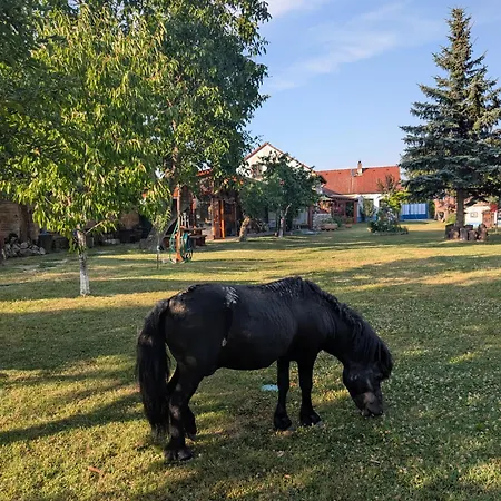 Svatoplukovo Kralovstvi Штефанова