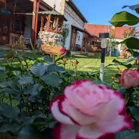 Svatoplukovo Kralovstvi Вилла