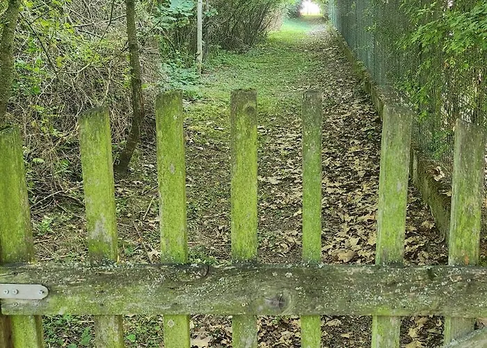 Svatoplukovo Království Stefanova